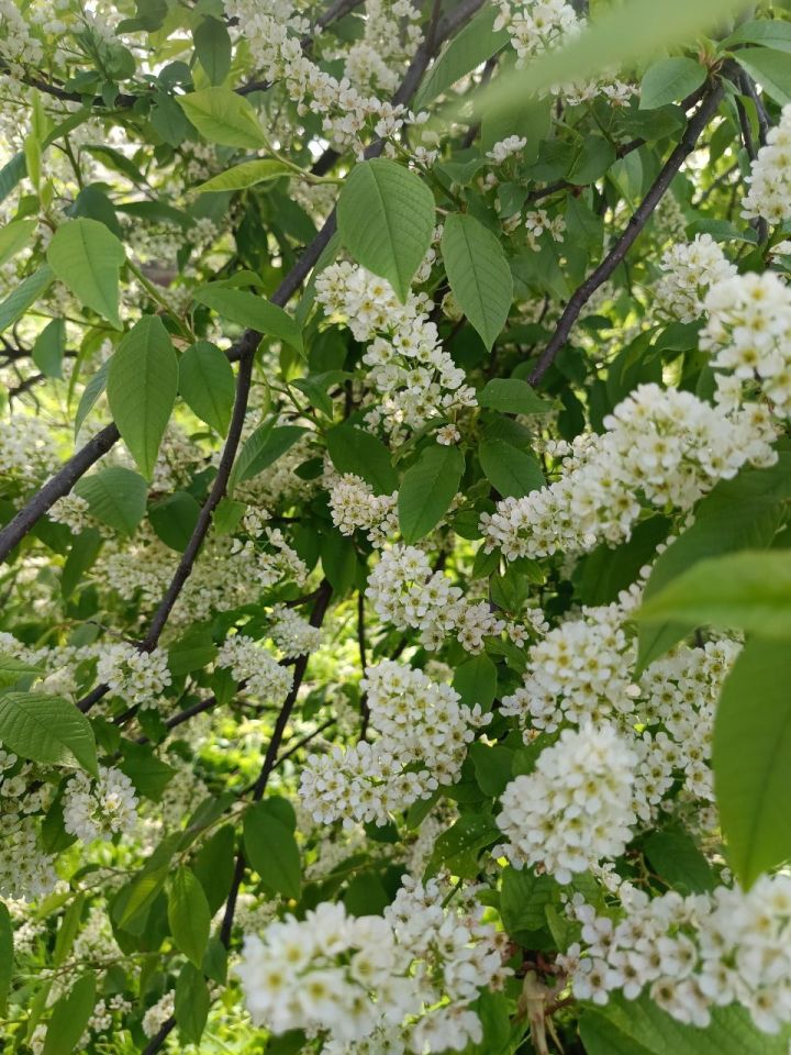 Доброе утро! 🌞