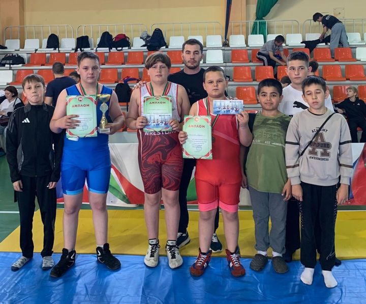 Первенство Татарстана по борьбе среди юношей