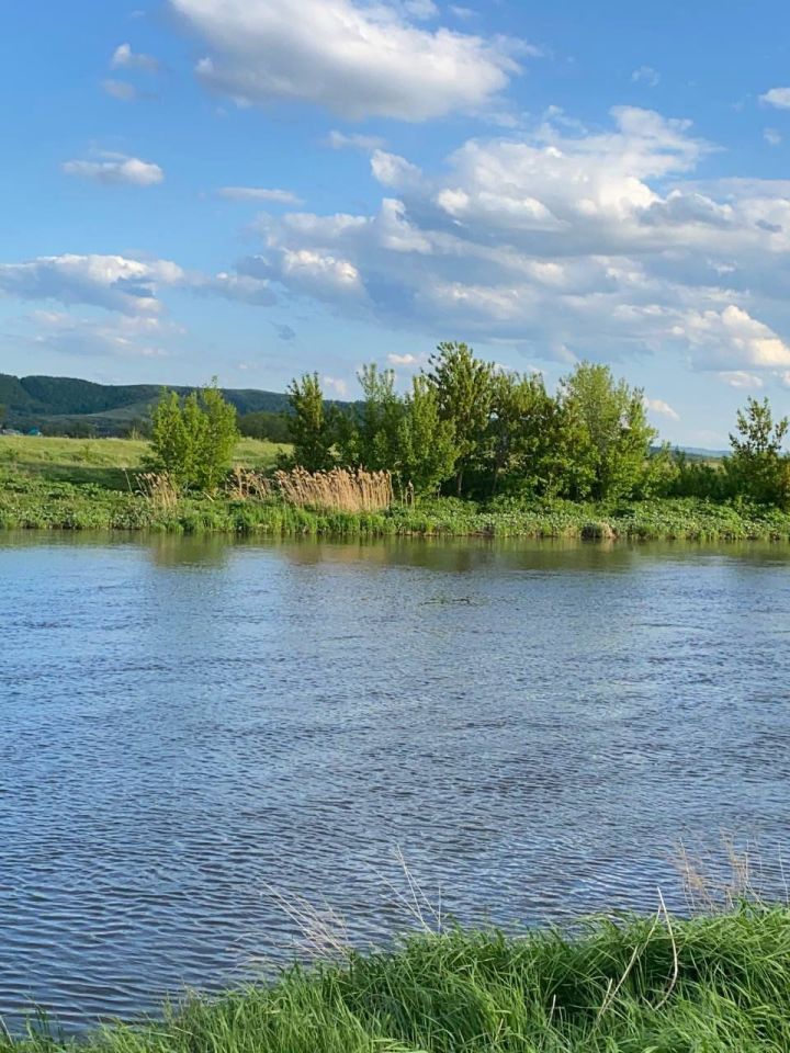 Доброе утро и прекрасного дня!