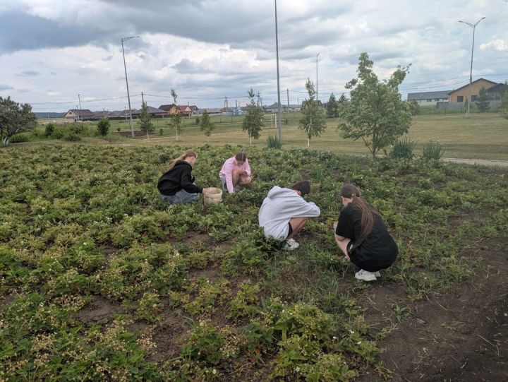 Школьники заботятся о природе и чистоте