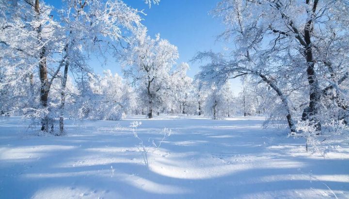 Доброе утро!