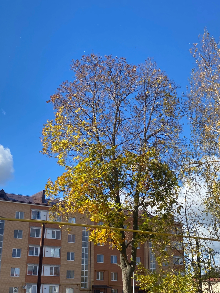 Воскресное утро: время для себя