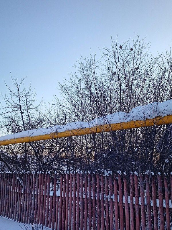 С началом новой рабочей недели, ютазинцы!