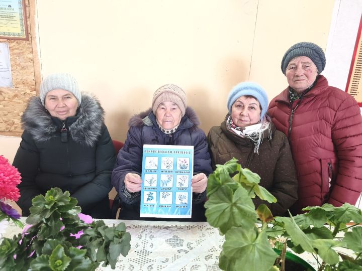 Секреты зелёного подоконника