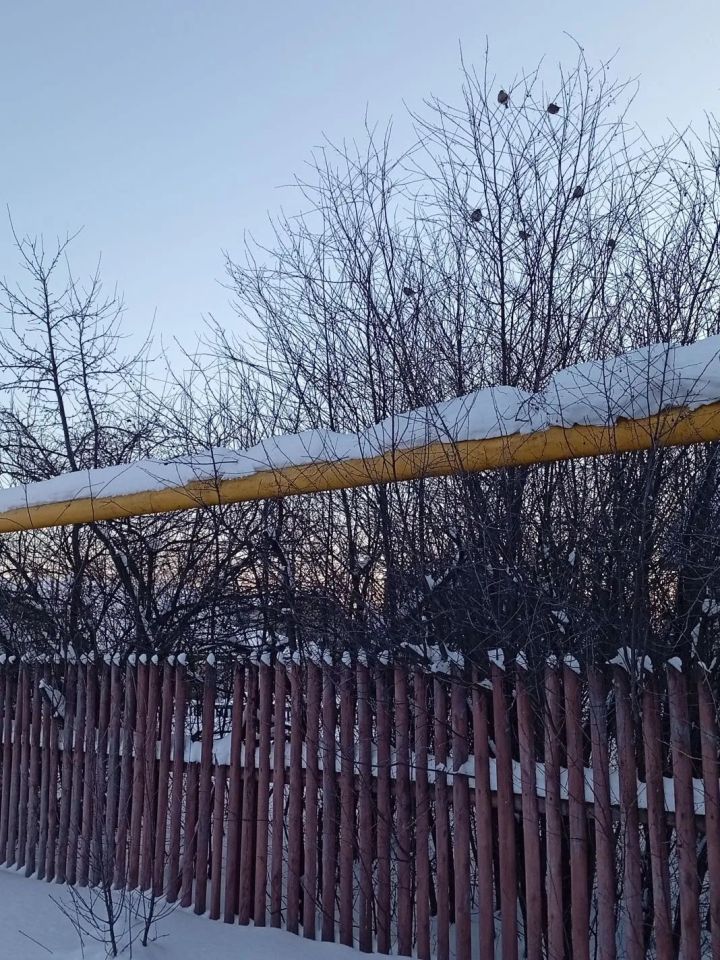 Доброе утро, уважаемые читатели!