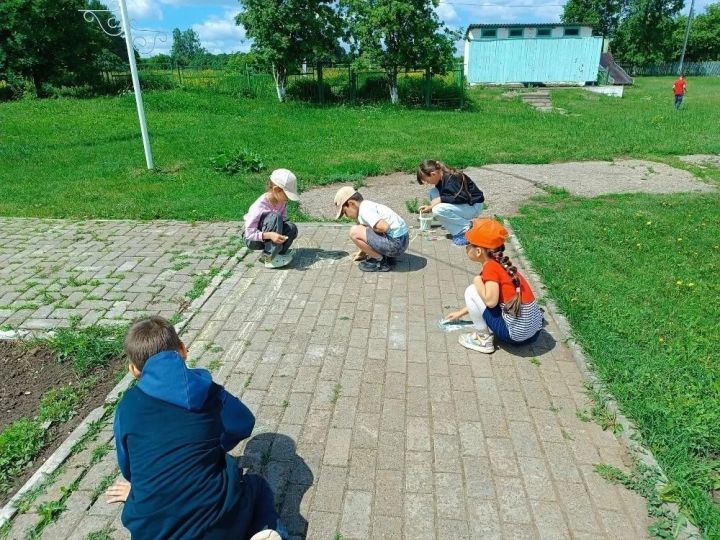 Праздник цвета на сером асфальте