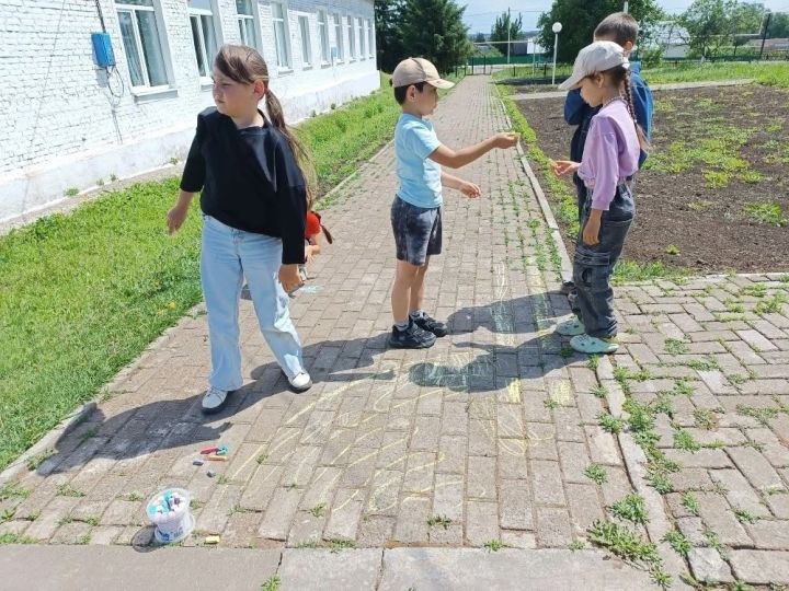 Праздник цвета на сером асфальте