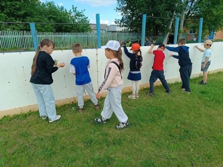 Праздник цвета на сером асфальте