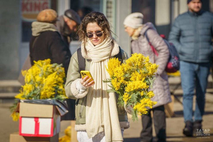 Голосование за вышки связи в малых сёлах продлится до 8 ноября