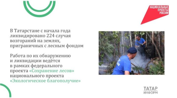 Татарстан: потушили 224 возгорания рядом с лесным фондом