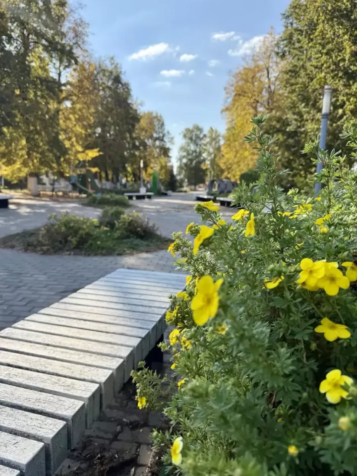 Ловим утреннее вдохновение