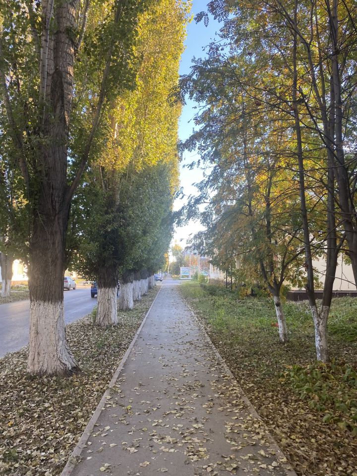 Ловим настроение на весь день