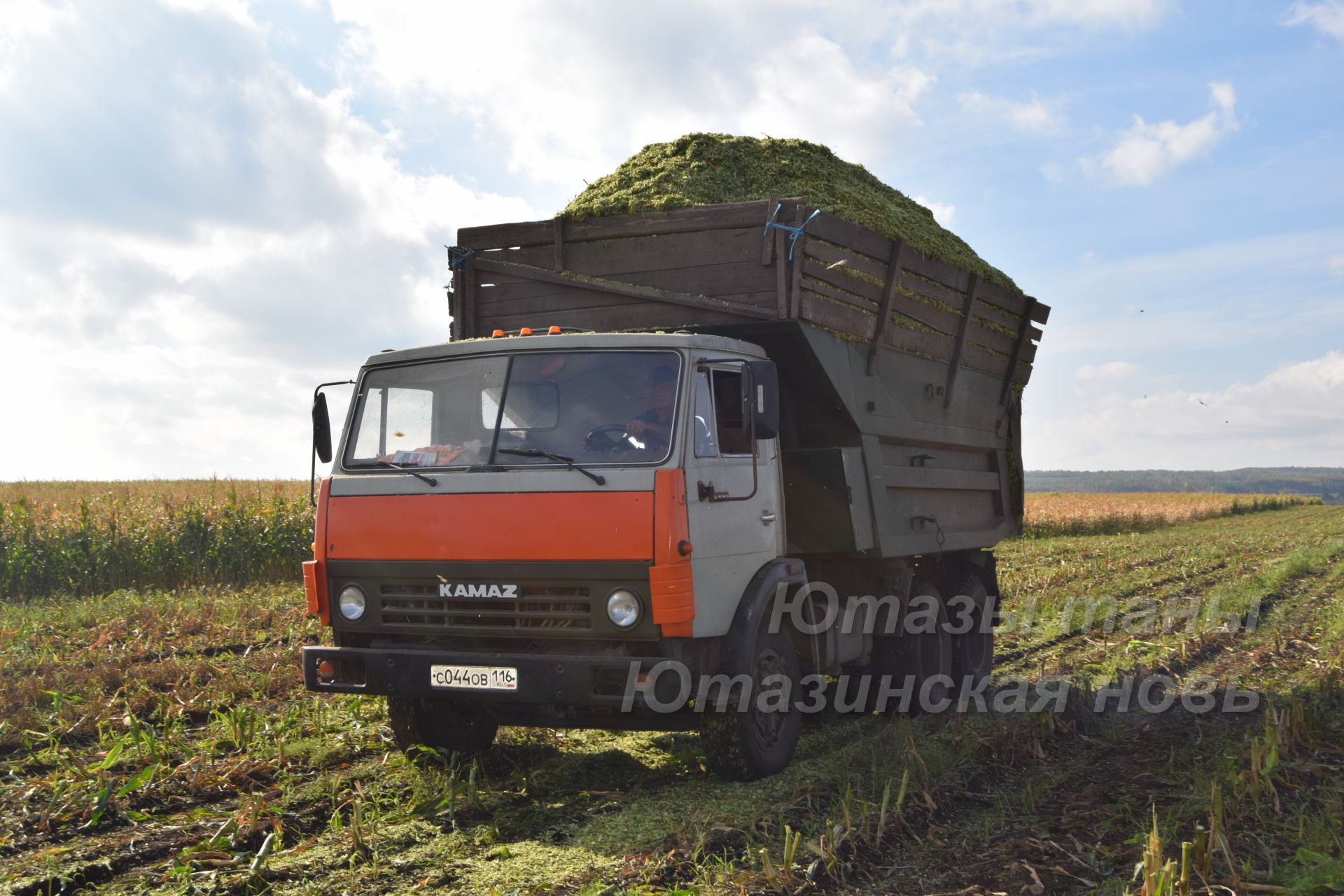 на камазе по кукурузному