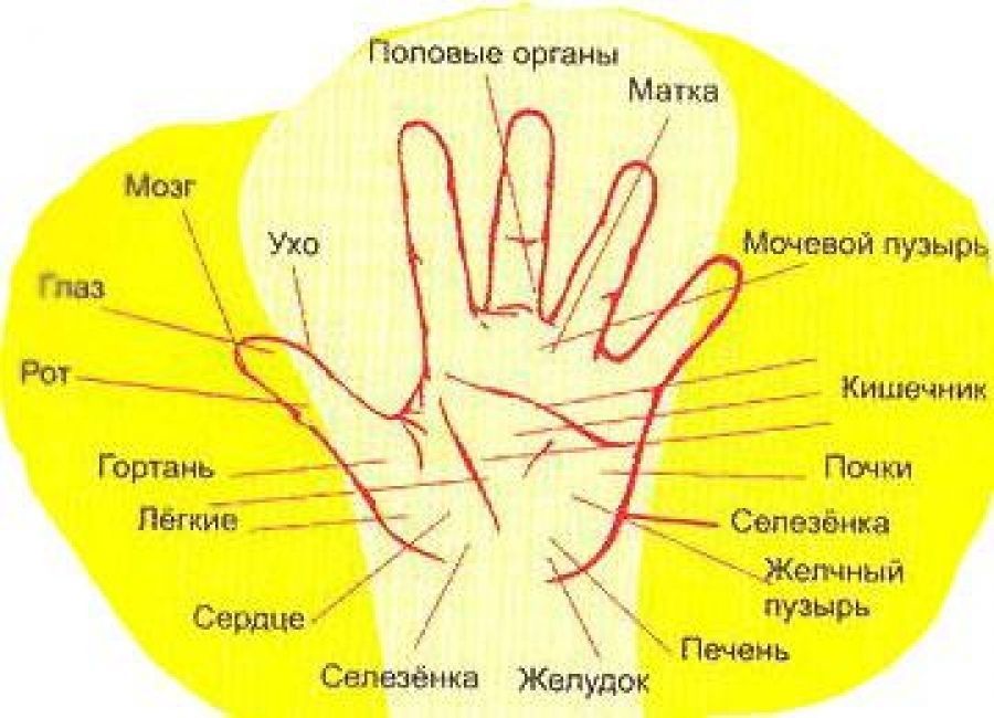 По картинке определить заболевание