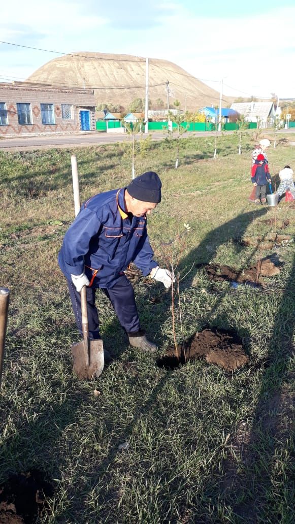 Погода в акбаше