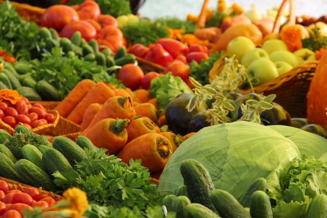 Купить овощи беларусь. Овощи и фрукты. Ярмарка овощей. Сельское хозяйство овощи. Овощи открытого грунта.