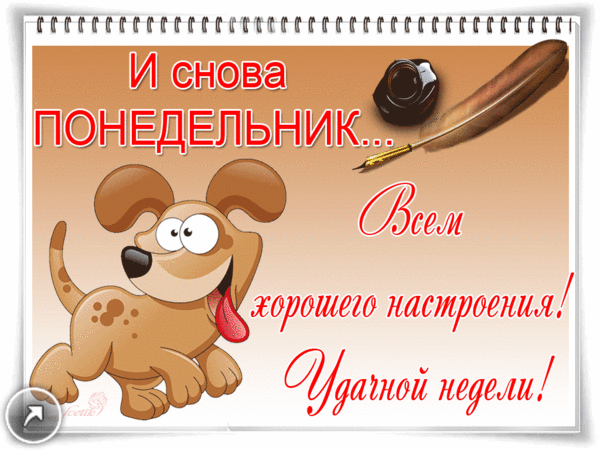 http://yutazy.ru/images/uploads/news/2019/2/11/115d56826930057edf365307dd708a73.gif