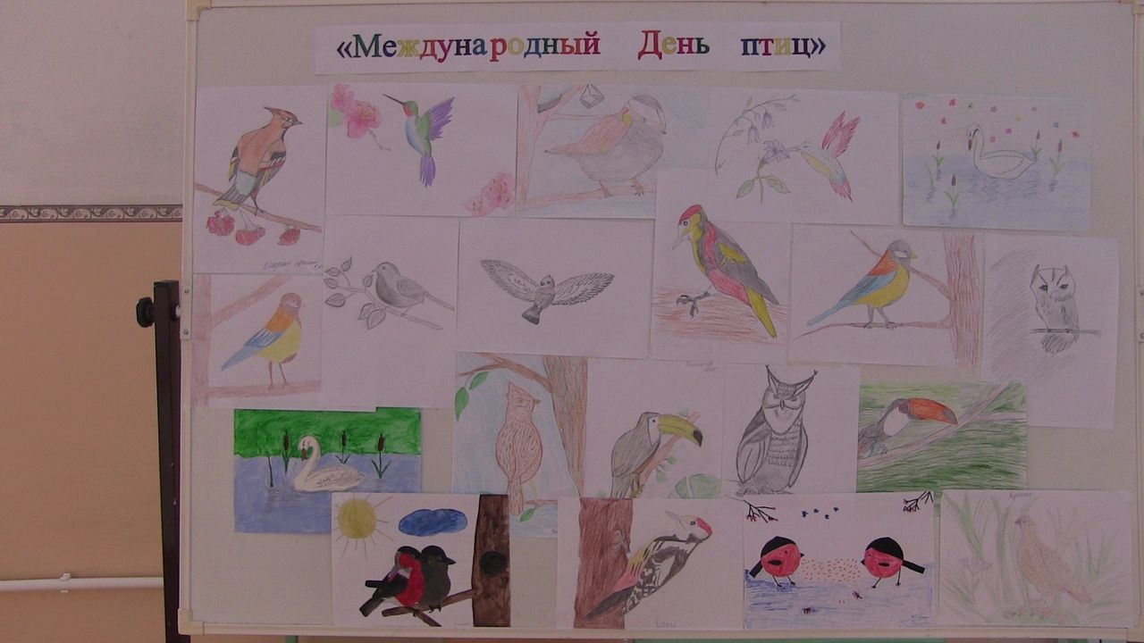"Птицы- наши друзья"