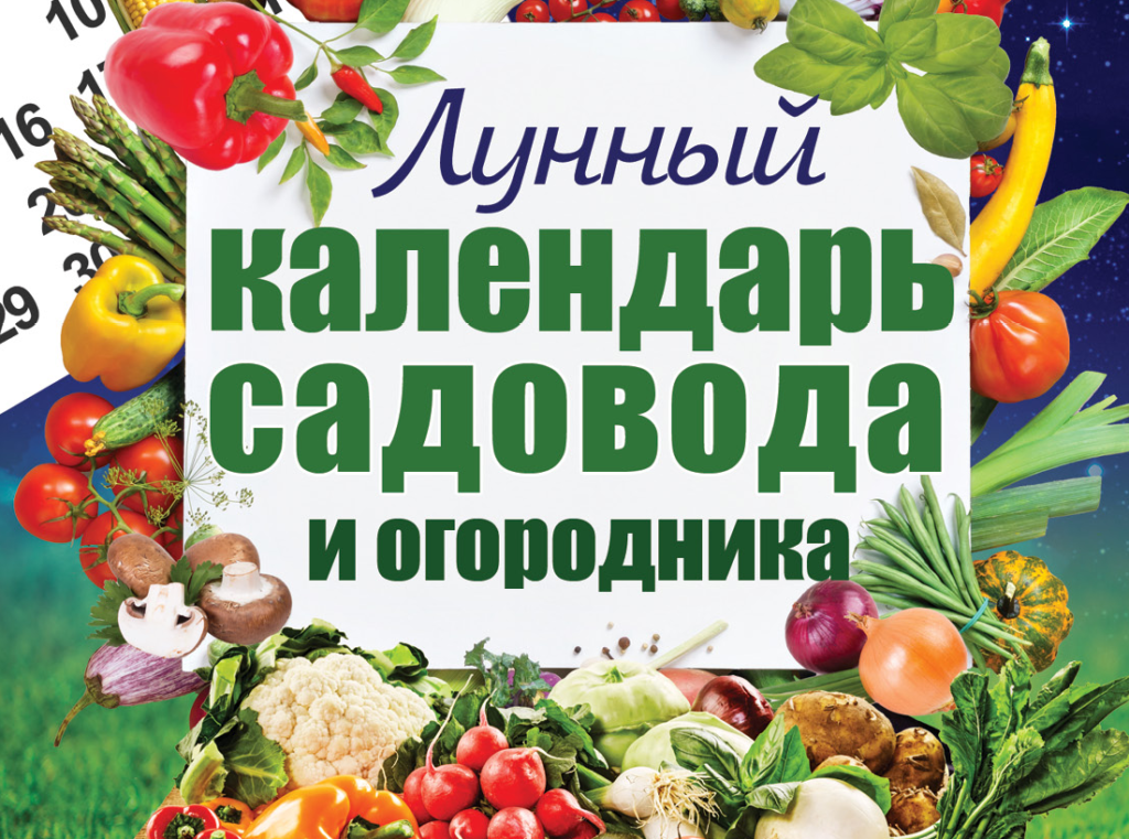 Календарь садовода и огородника. Календарь садо огоодника. Лунный календарь садовода. Календарь садовода огогородника.