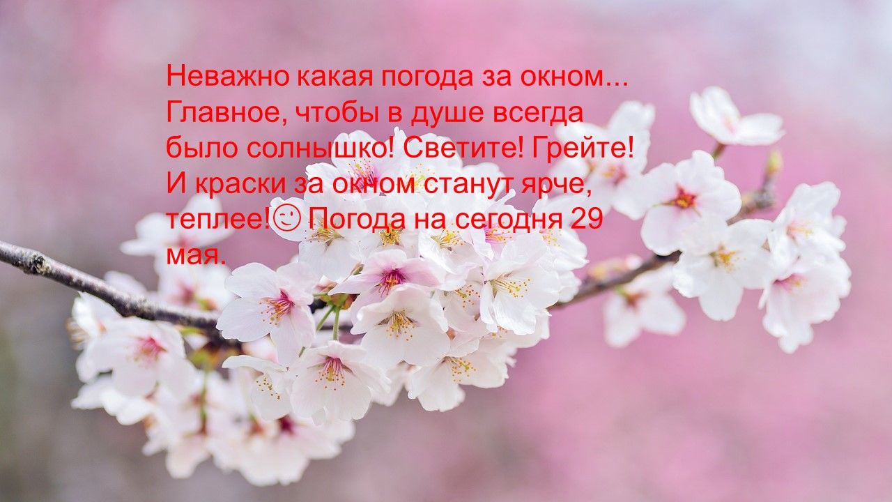 Не важно какая погода за окном важно какая погода в душе картинки с добрым утром