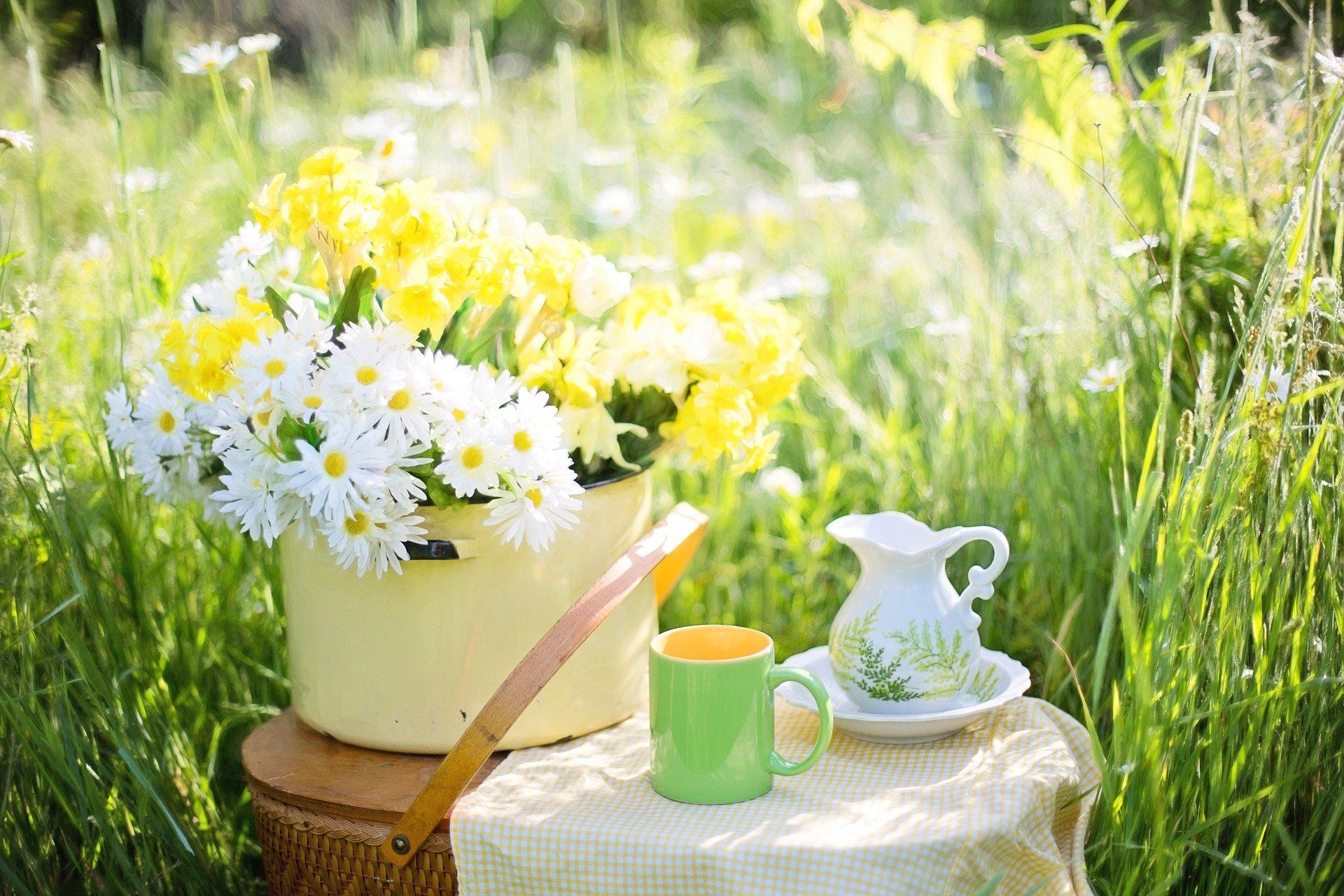 Доброе прекрасное утро природа. Летнее утро. Утренние цветы. Доброе утро летние цветы. Доброе утро лето.