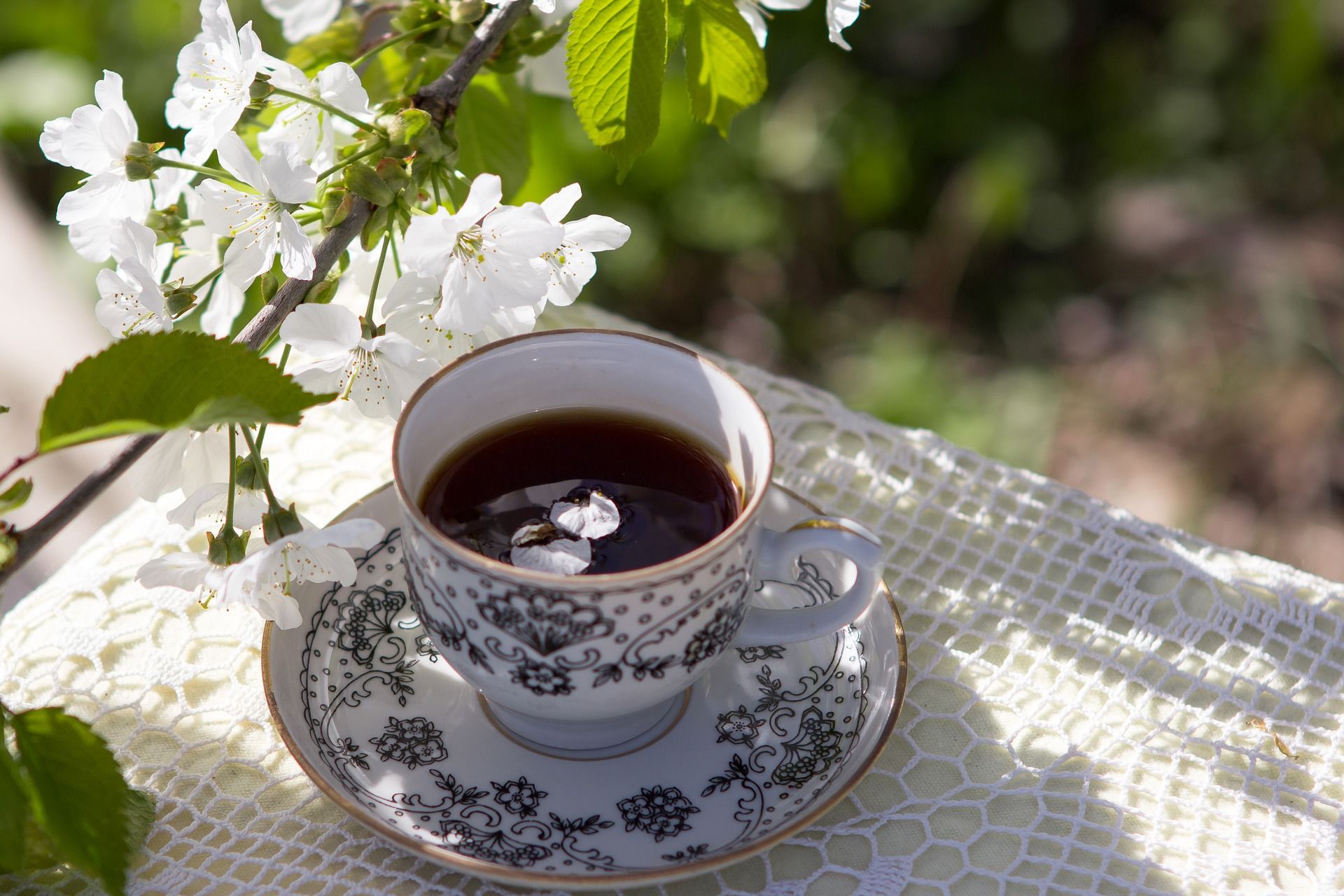 Доброе весеннее утро с чаем. Чашка кофе на природе. "На чашечку кофе…?!". Чаепитие в весеннем саду.
