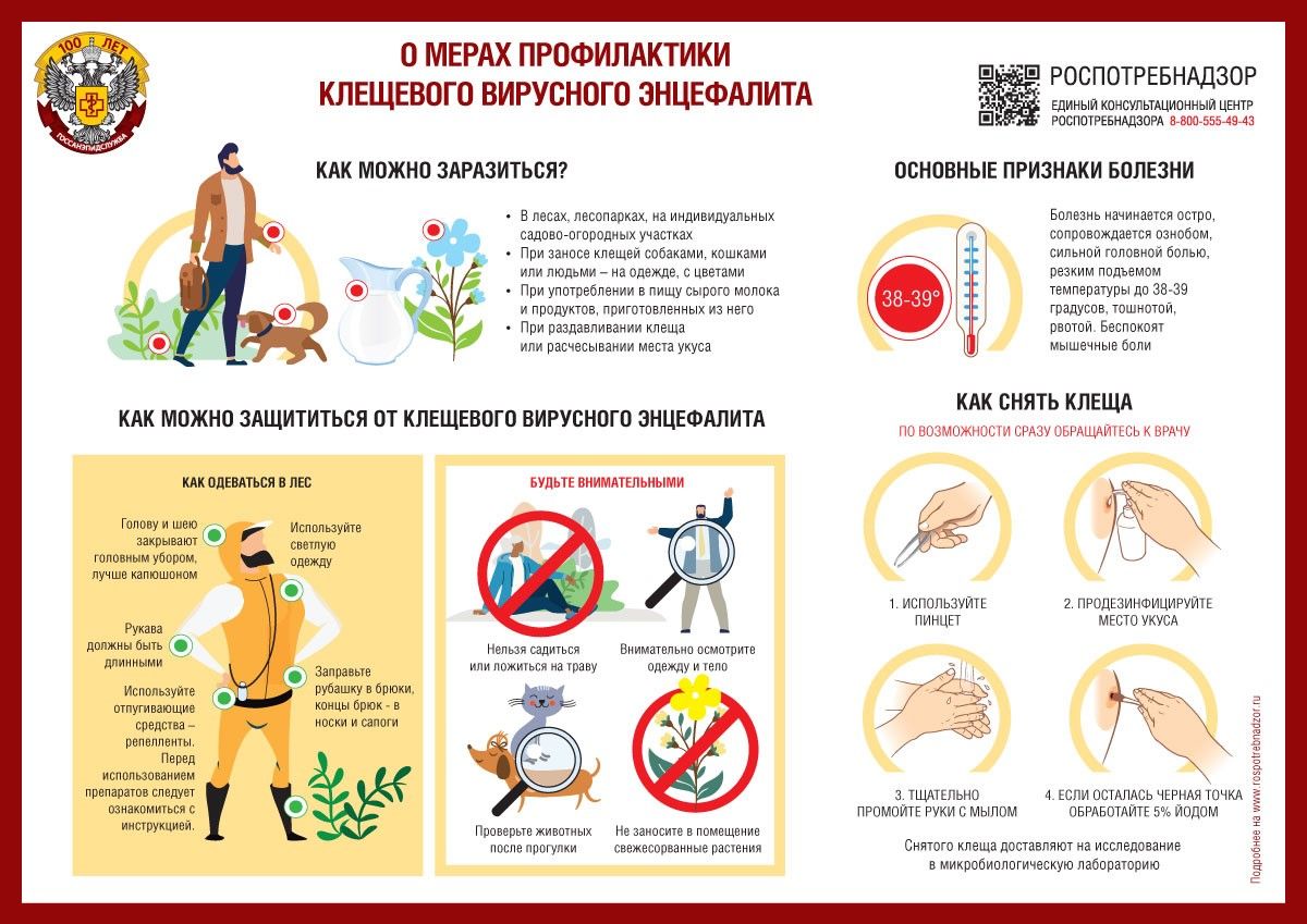 Средства от клещей - какими они бывают