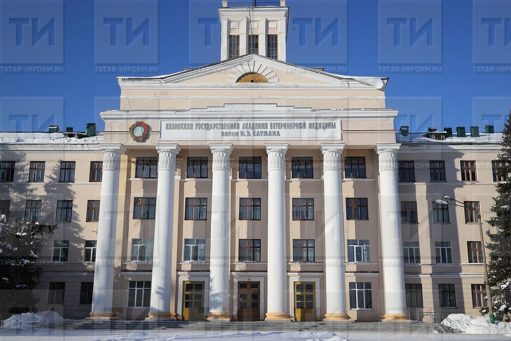 В вузах РТ введут новый курс «Основы российской государственности»