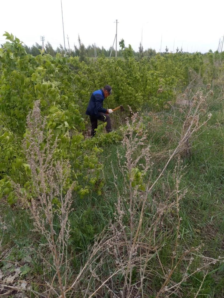 В селе Абсалямово прошел субботник по очистке придорожной полосы