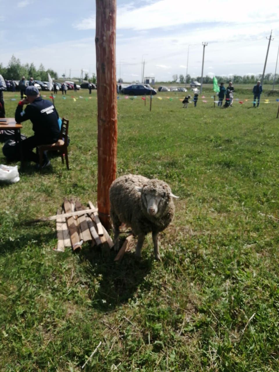 В жилах староуруссинцев – молодая кровь