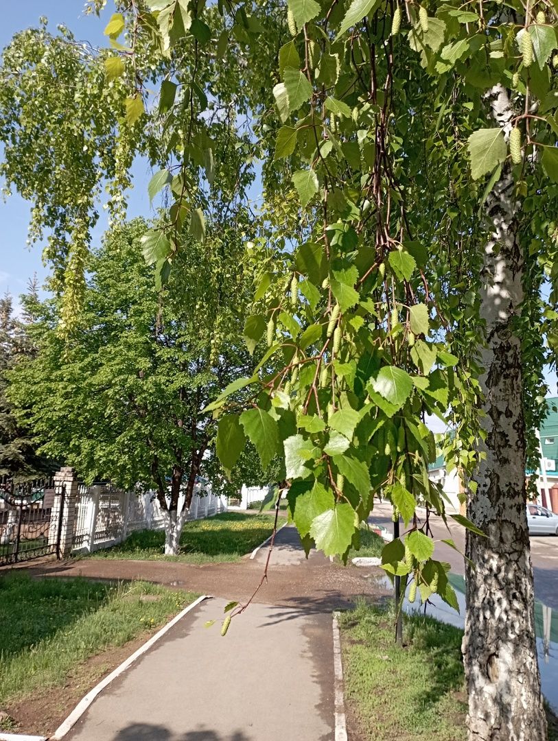 В Татарстане запущена платформа для отдыха на природе с 20 маршрутами от трэвел-блогеров