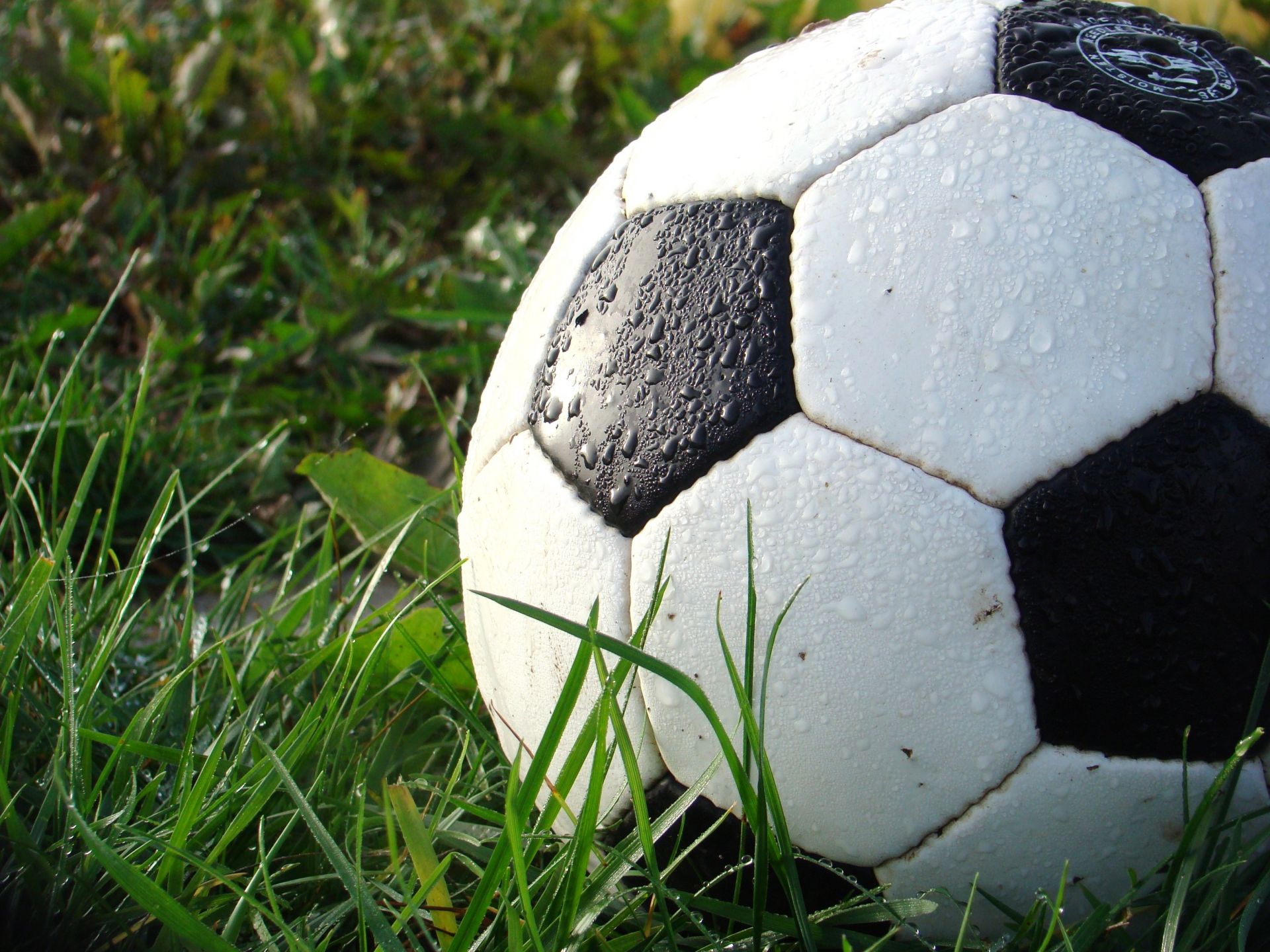 Трофей Суперкубка РФ по футболу посетит несколько городов республики