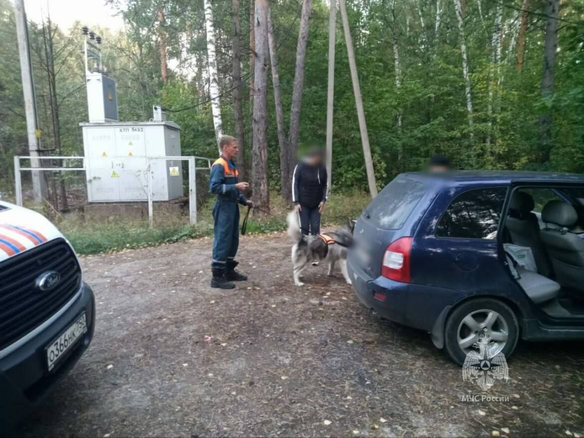 В Тукаевском районе РТ спасатели нашли заблудившихся в лесу грибников