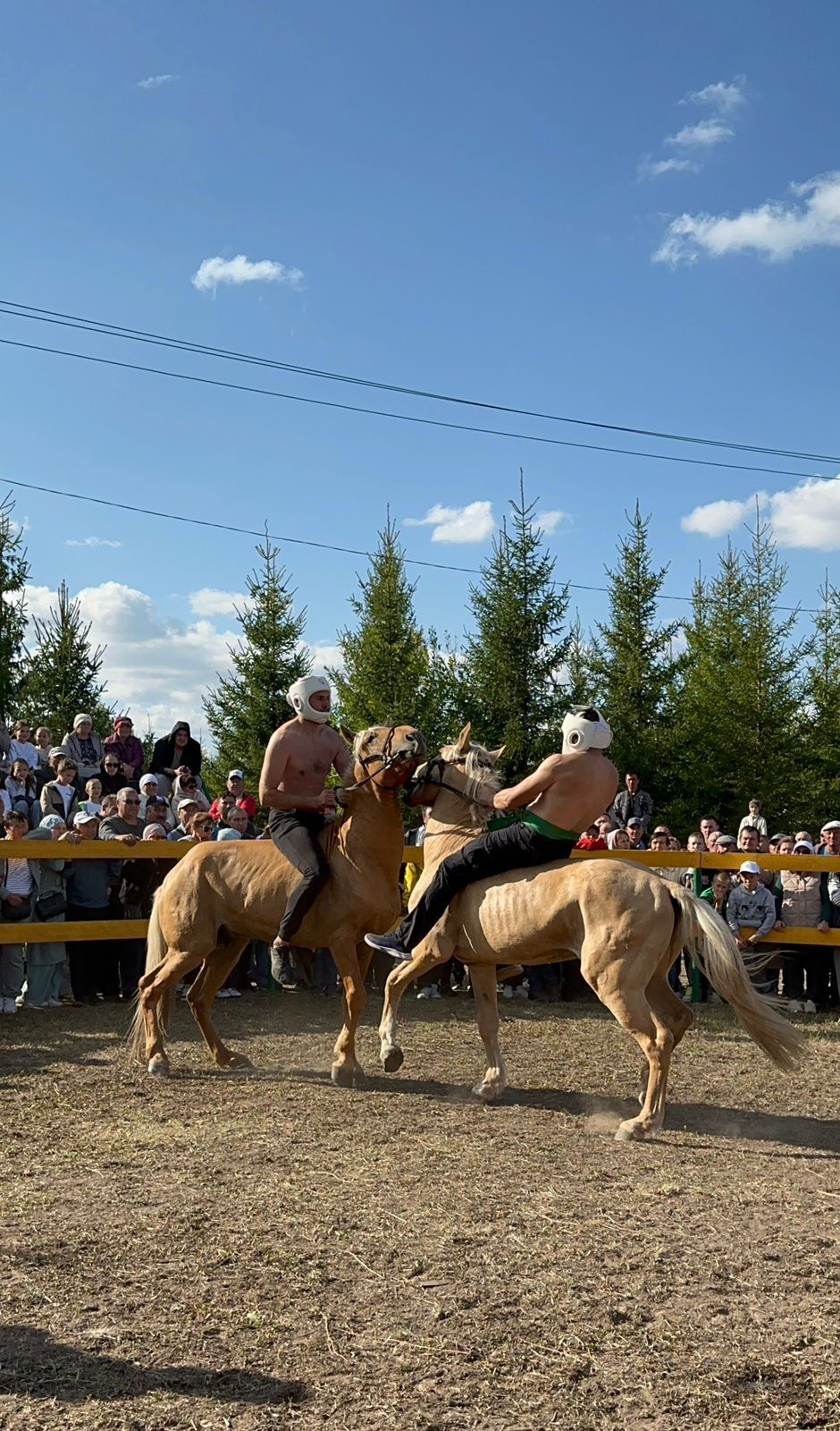 Александр Карпеев занял 3 место в чемпионате по борьбе на лошадях «Аударыш»