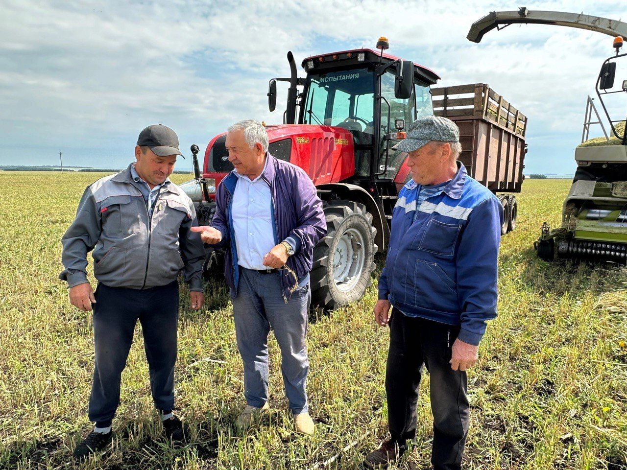 Стремление районного руководства — не позволить землям пустовать