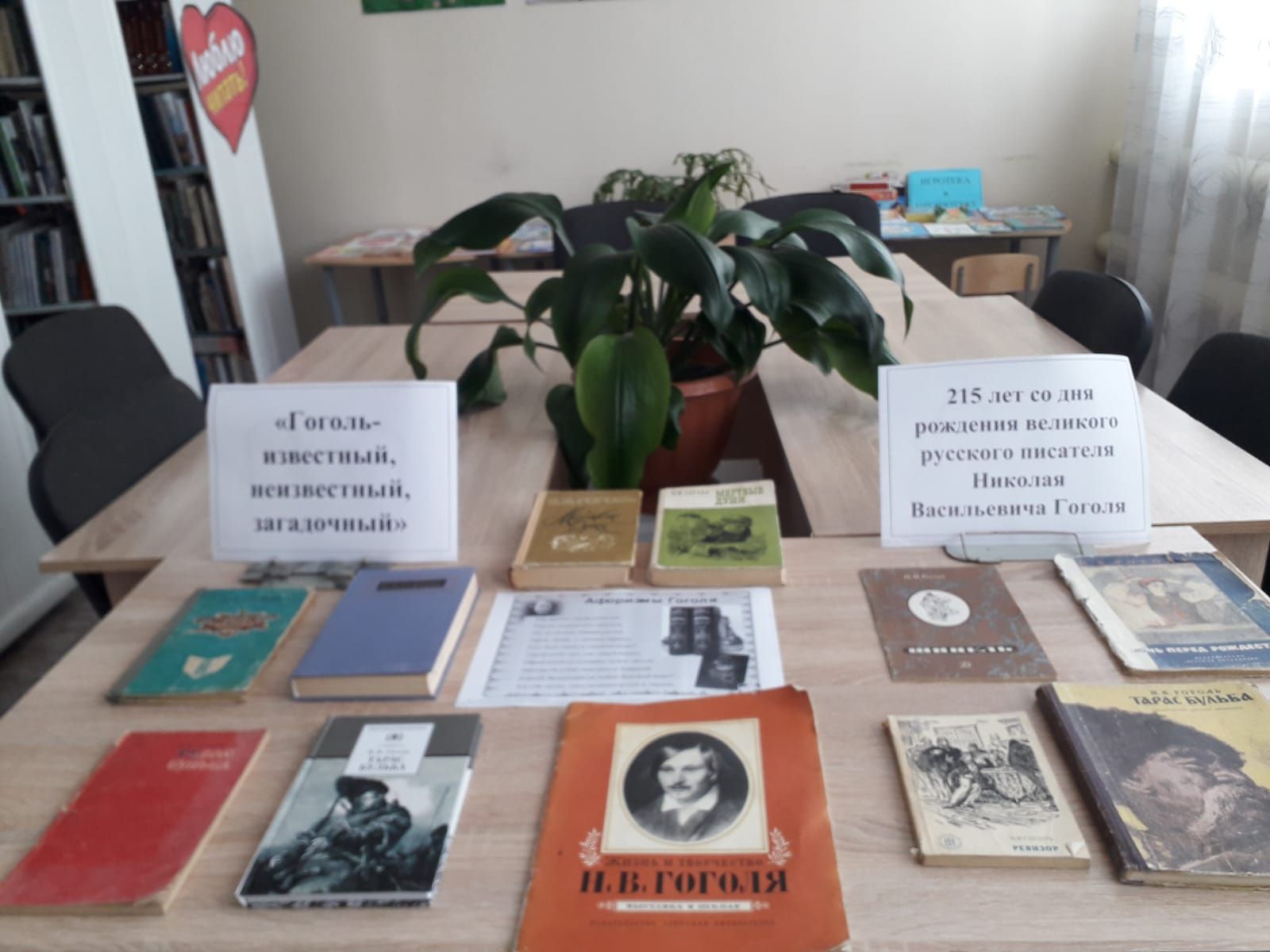 В Каракашлинской сельской библиотеке прошла выставка книг