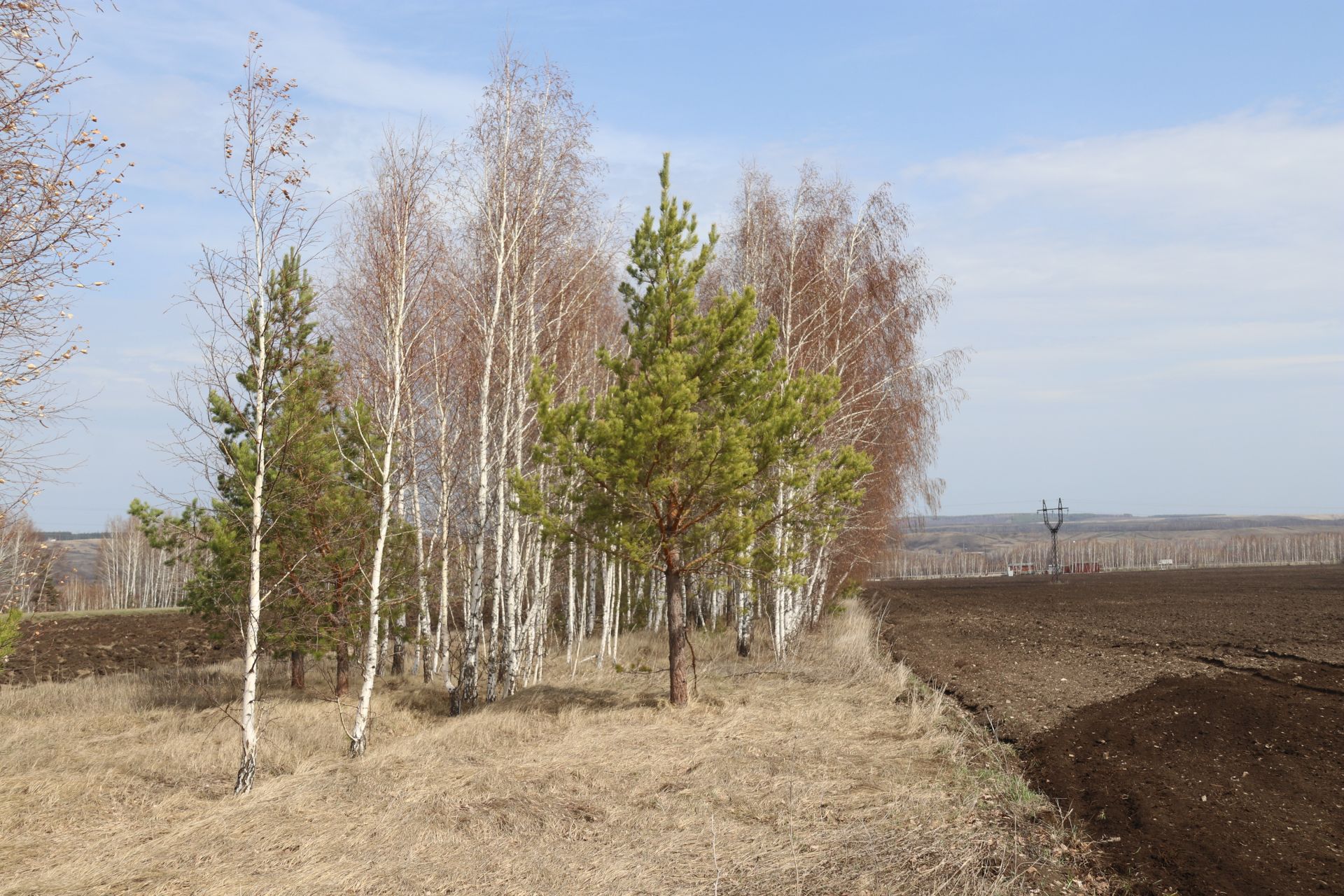 Аномальная жара в Татарстане продлится несколько дней