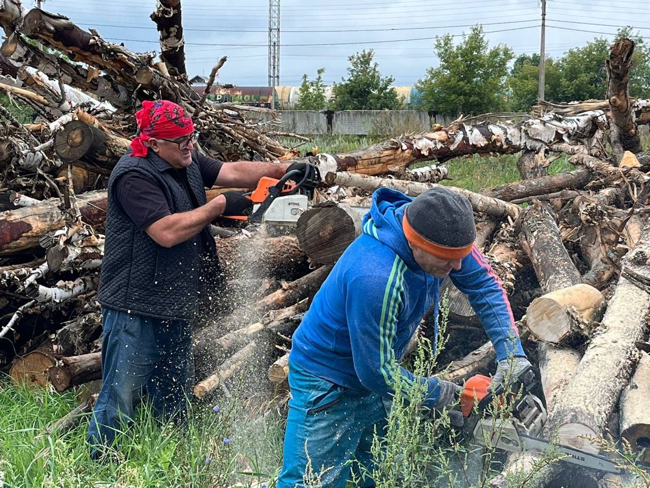 Сельские поселения района приступили к заготовке дров