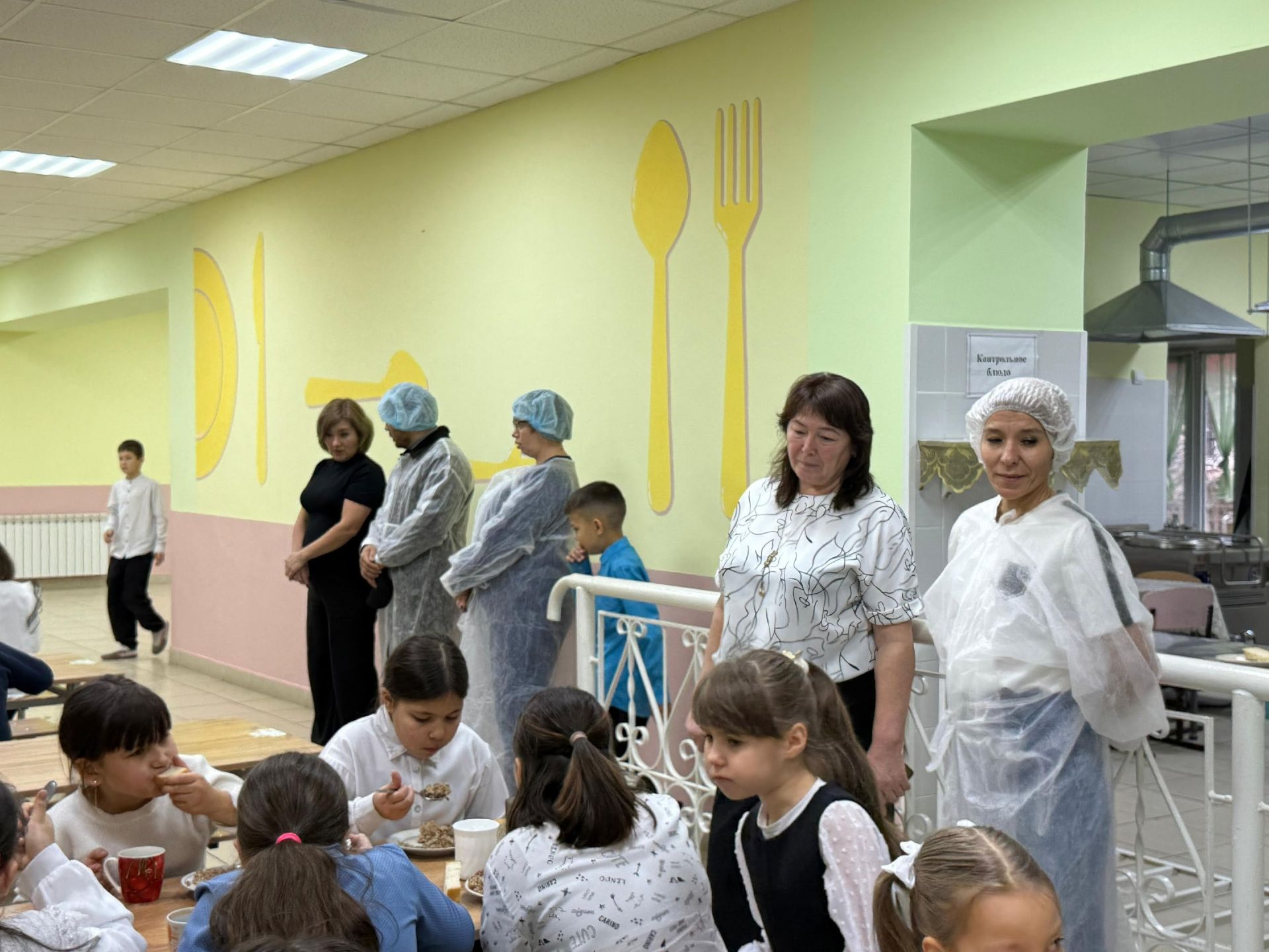 Родительский контроль за организацией питания