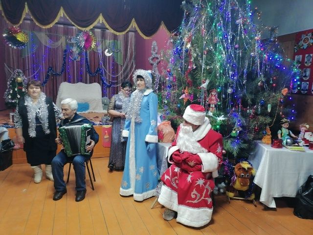 Новый год в гости к нам пришёл