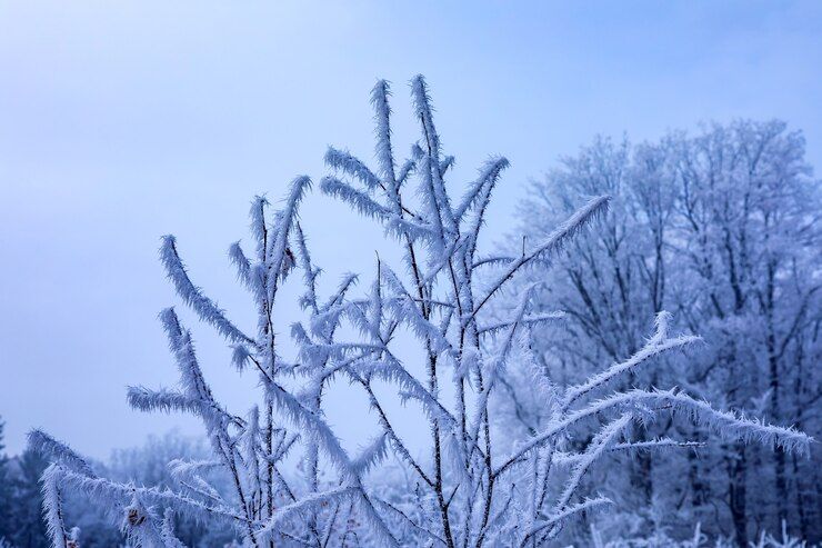Погода на 11 февраля
