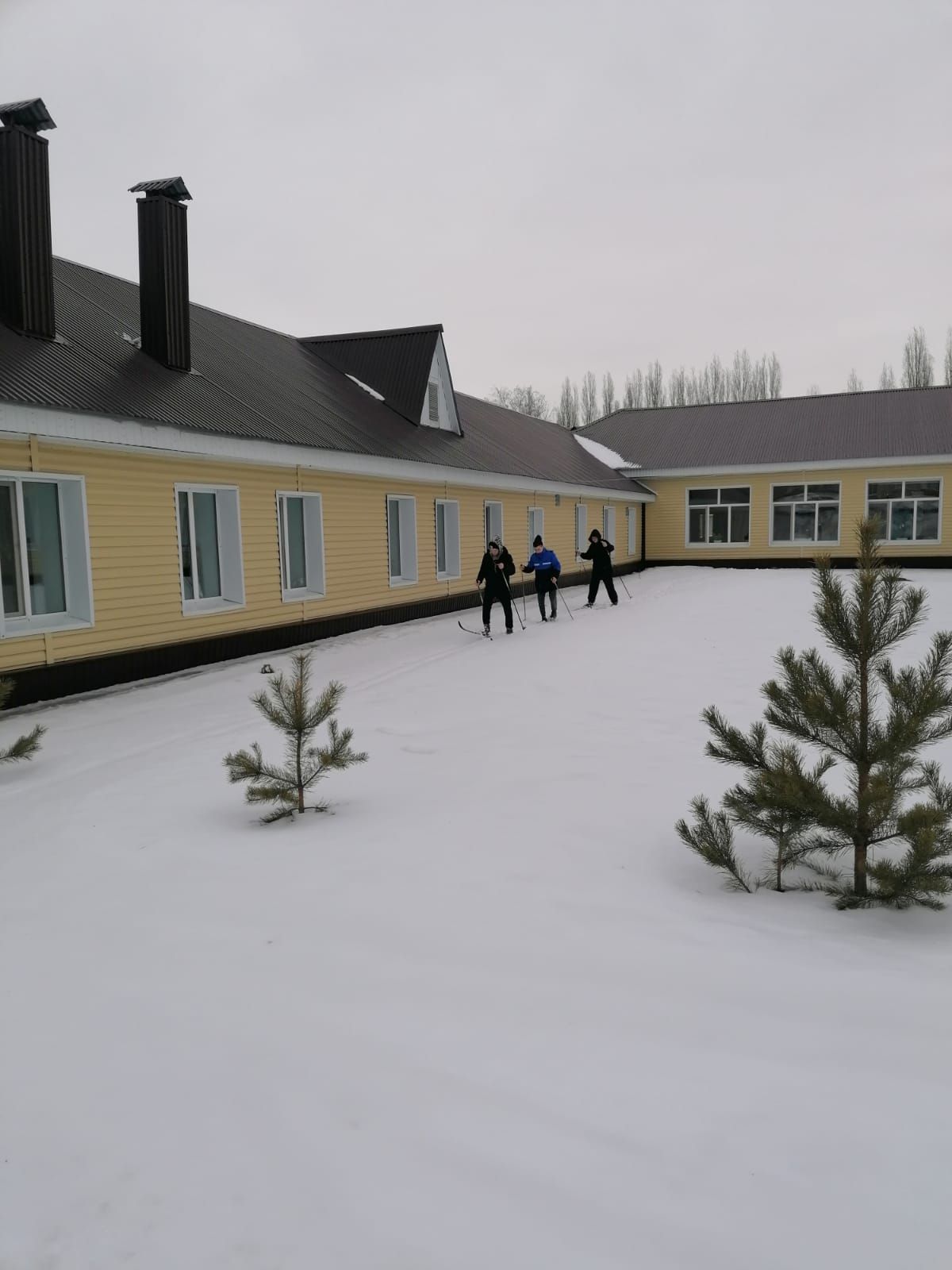 Укрепление здоровья с помощью лыжных прогулок на свежем воздухе