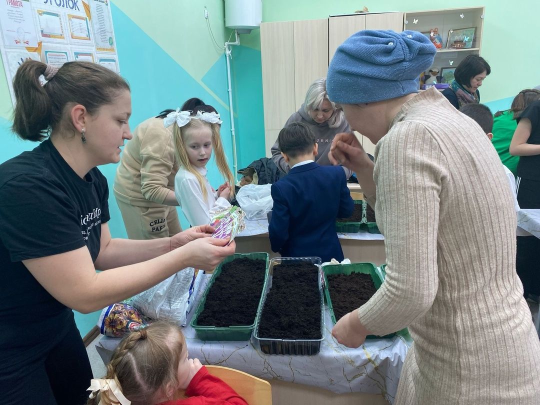 Школьный двор готовится к весне: родители и ученики сажают семена на рассаду