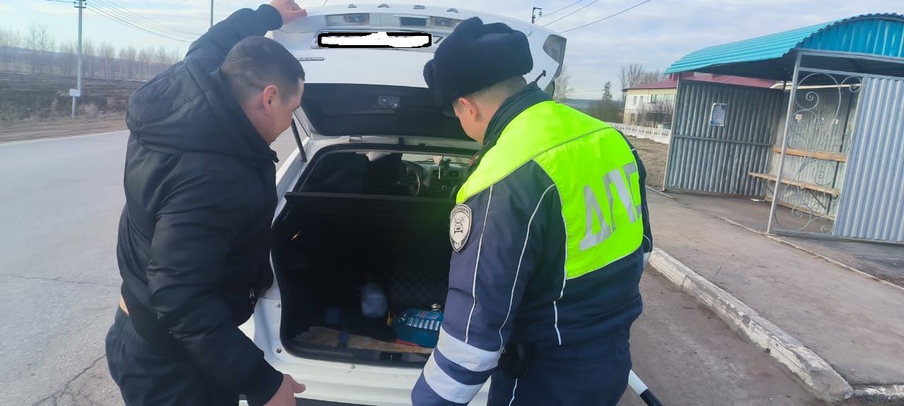 Рейд «Тоннель»: чтобы соблюдали правила дорожного движения