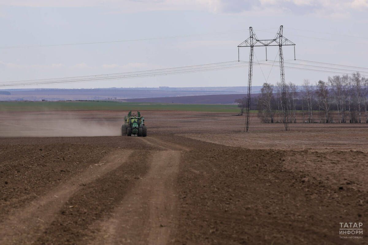В Татарстане выделят 42 млрд рублей на весенние полевые работы