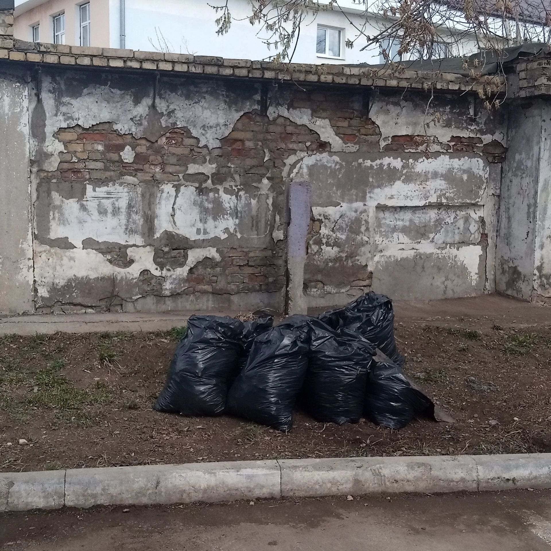 Чистота и порядок: результаты субботника на улице Горького