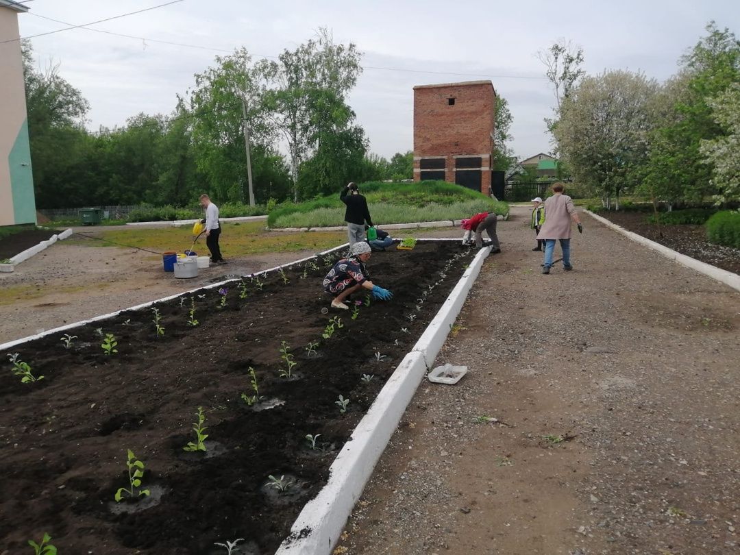 Посадка цветов в школе Каразерик