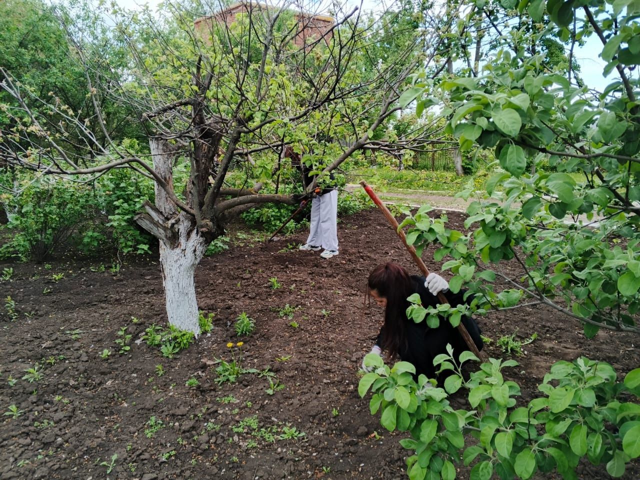 Экология начинается с того места, где мы живём