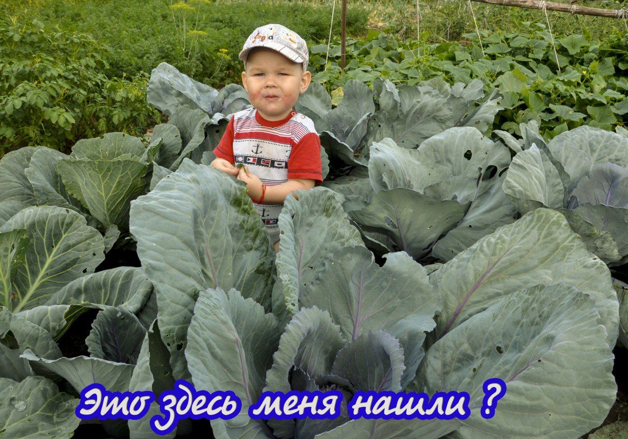 Пусть этот День защиты детей станет  поводом вспомнить детство...
