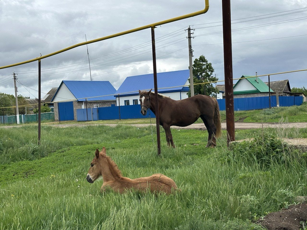 Ютазинцы, забудьте о городской суете!